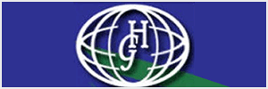 Hayes Gibson International logo